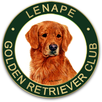Lenape Golden Retriever Club